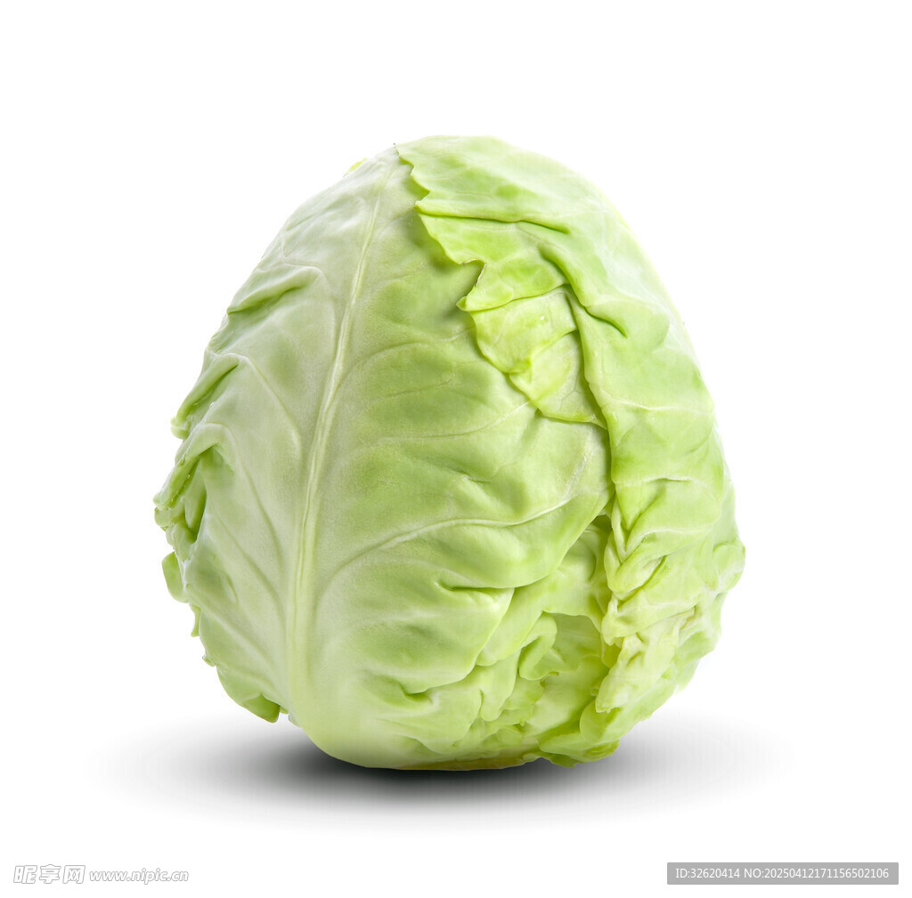 包菜