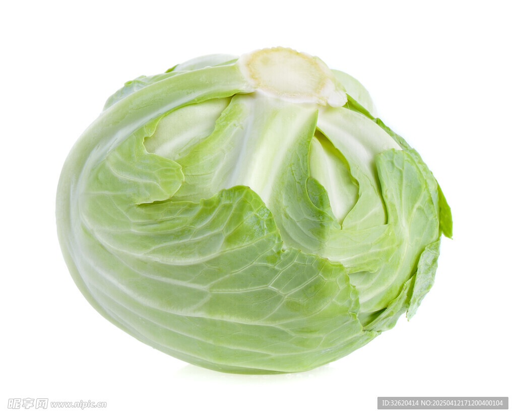 包菜
