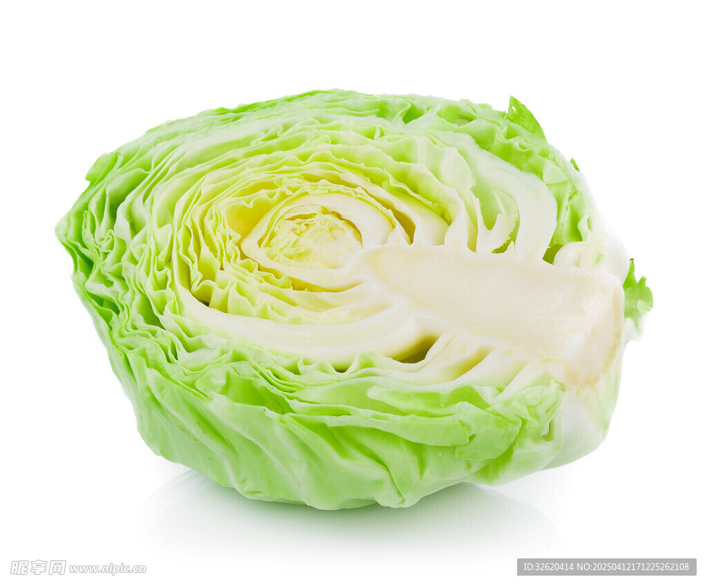 包菜