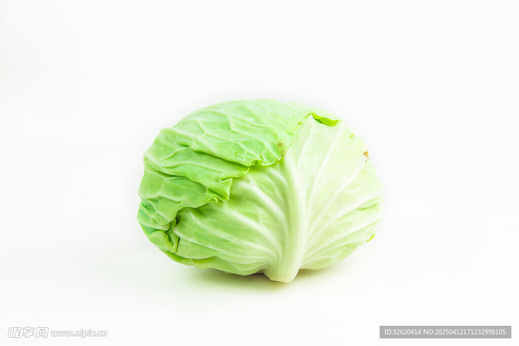 包菜