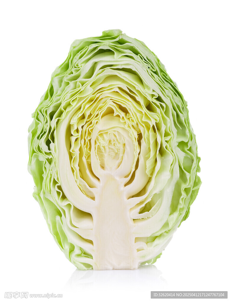 包菜
