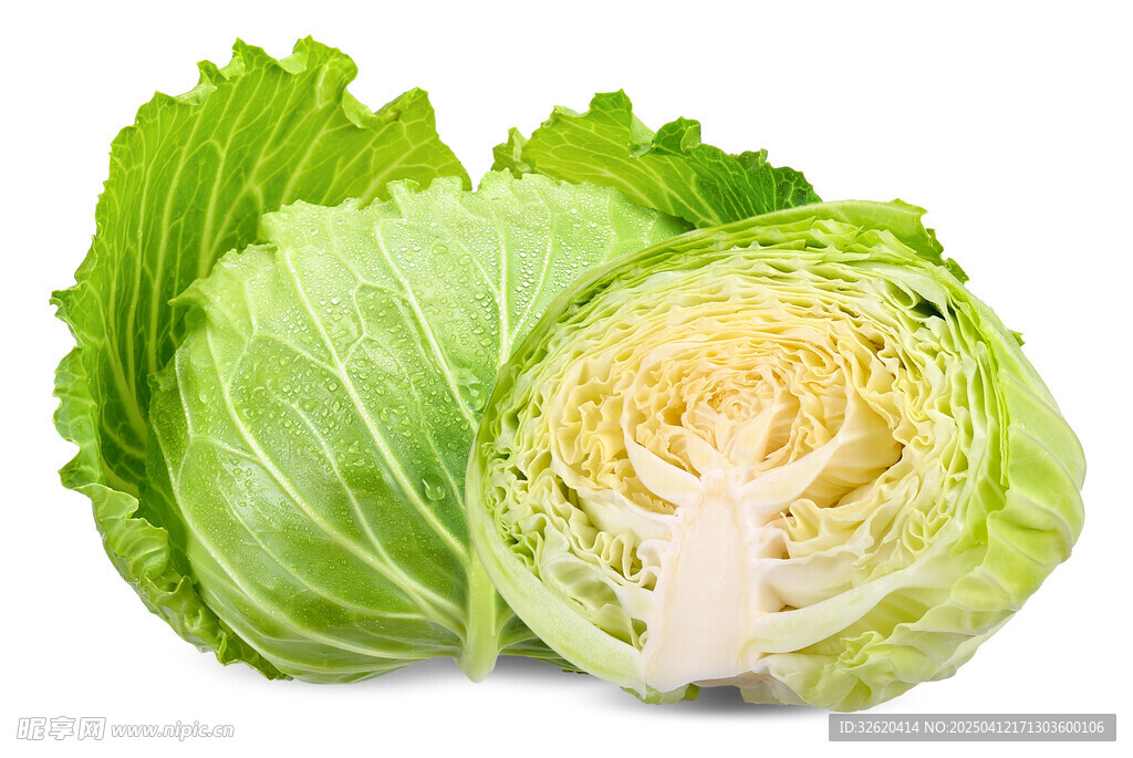 包菜