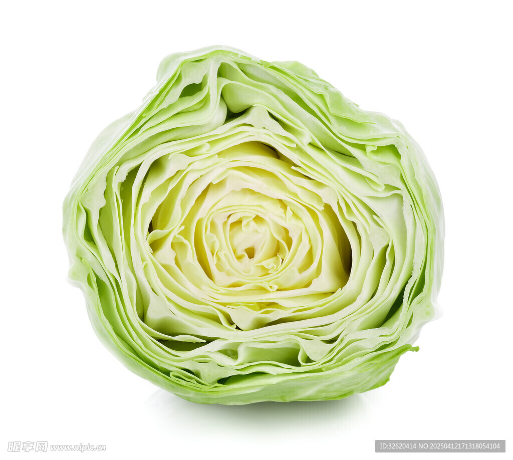 包菜