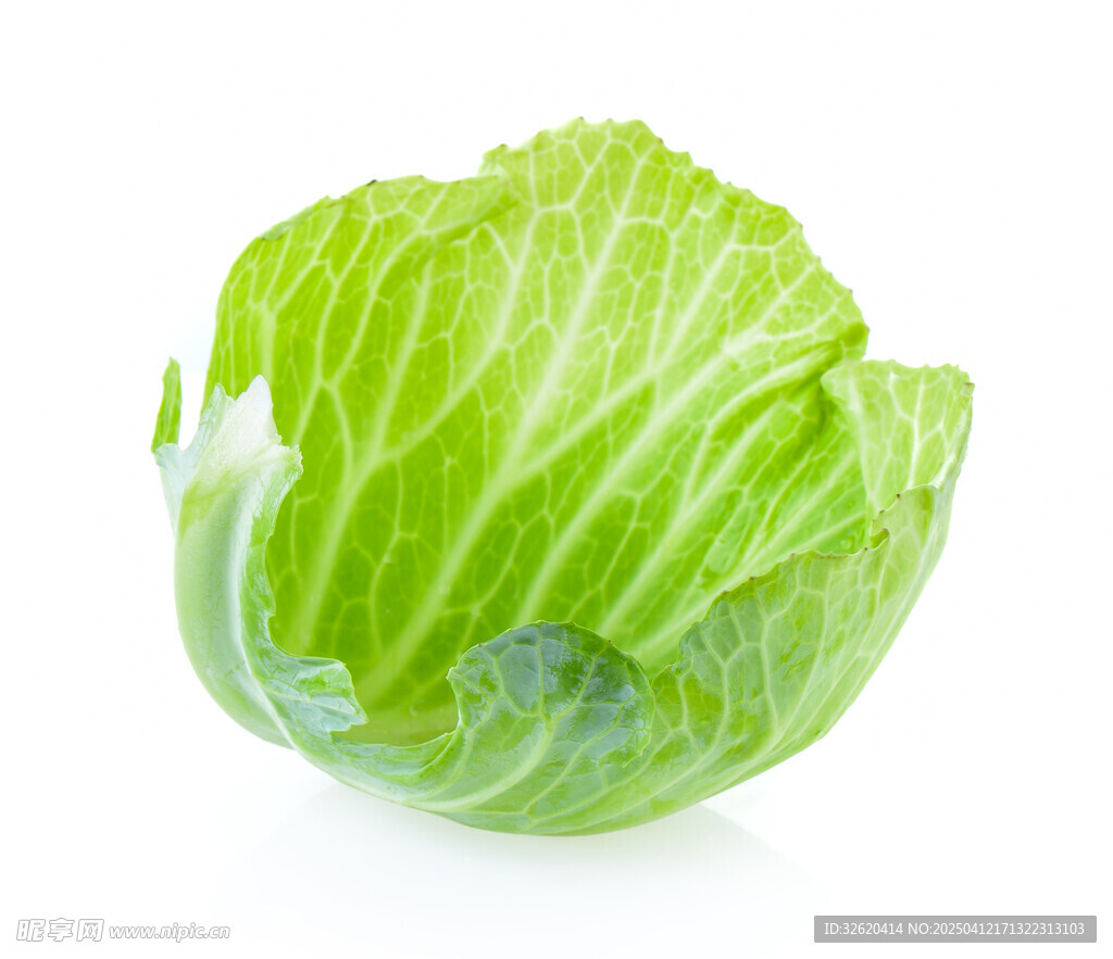 包菜