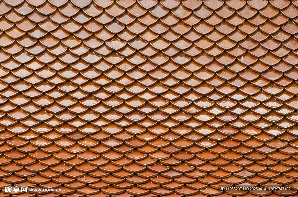 蛇纹蛇皮鱼鳞皮革服装高清素材图