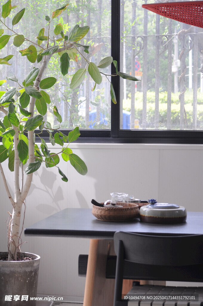 室内绿植与茶台