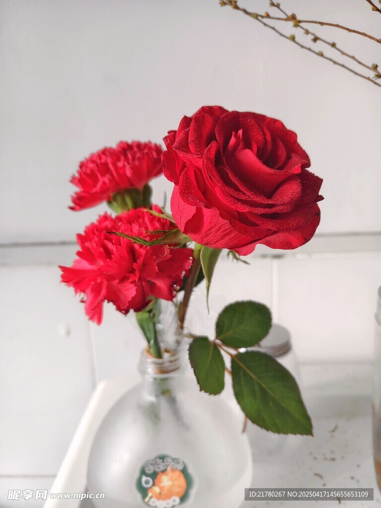 花瓶中的红玫瑰