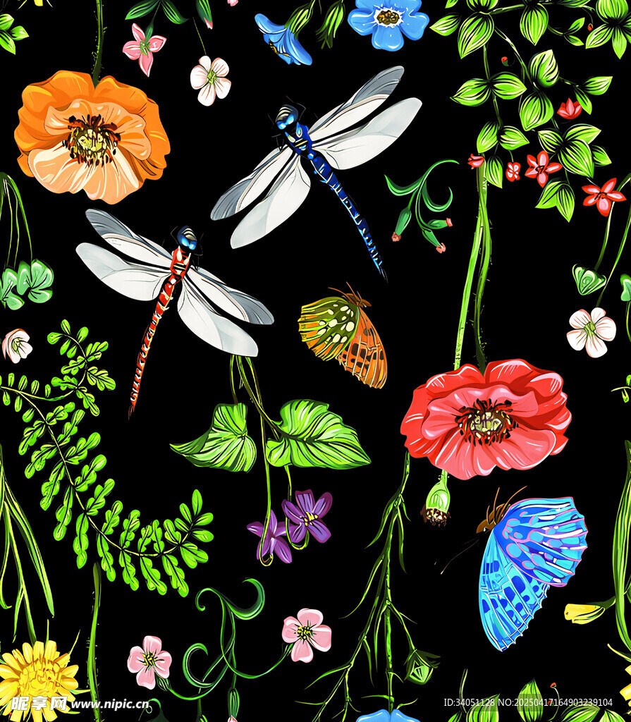 黑色背景上的多彩昆虫花卉