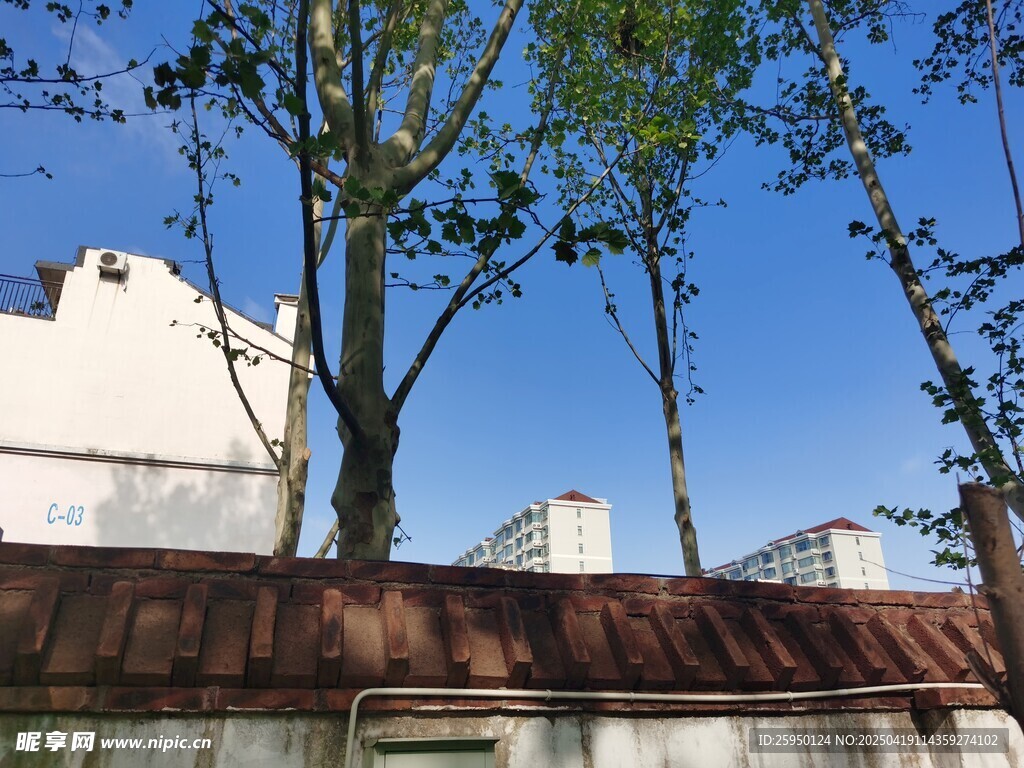红顶建筑