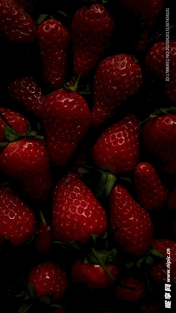 草莓