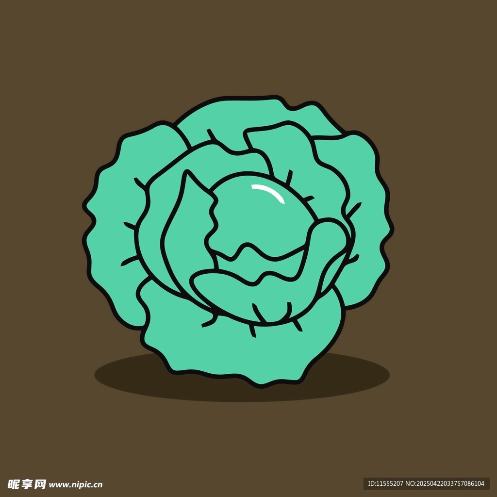 卡通卷心菜插画