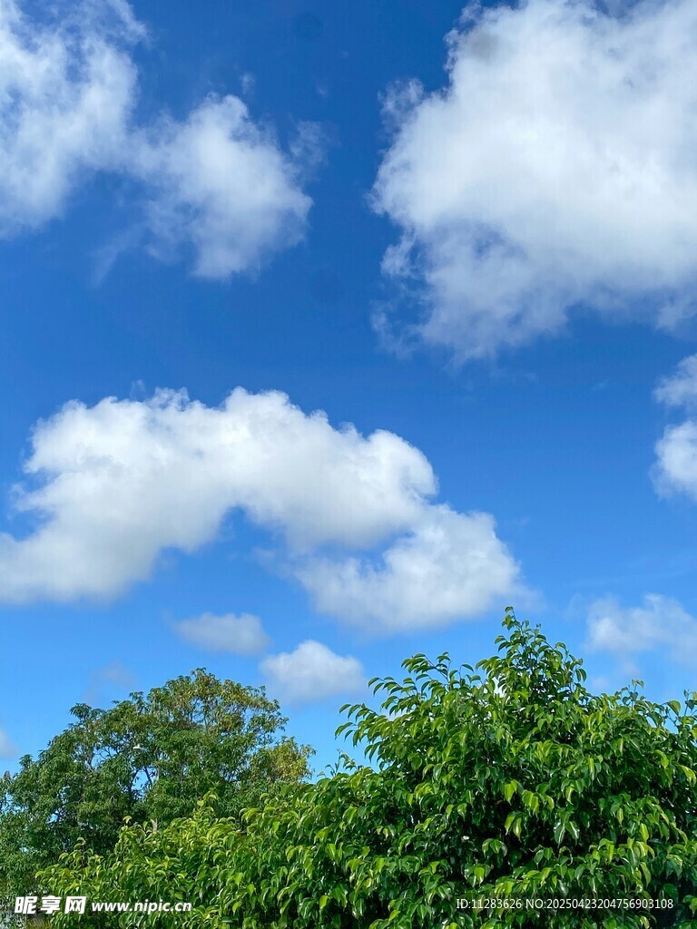 蓝天绿树白云