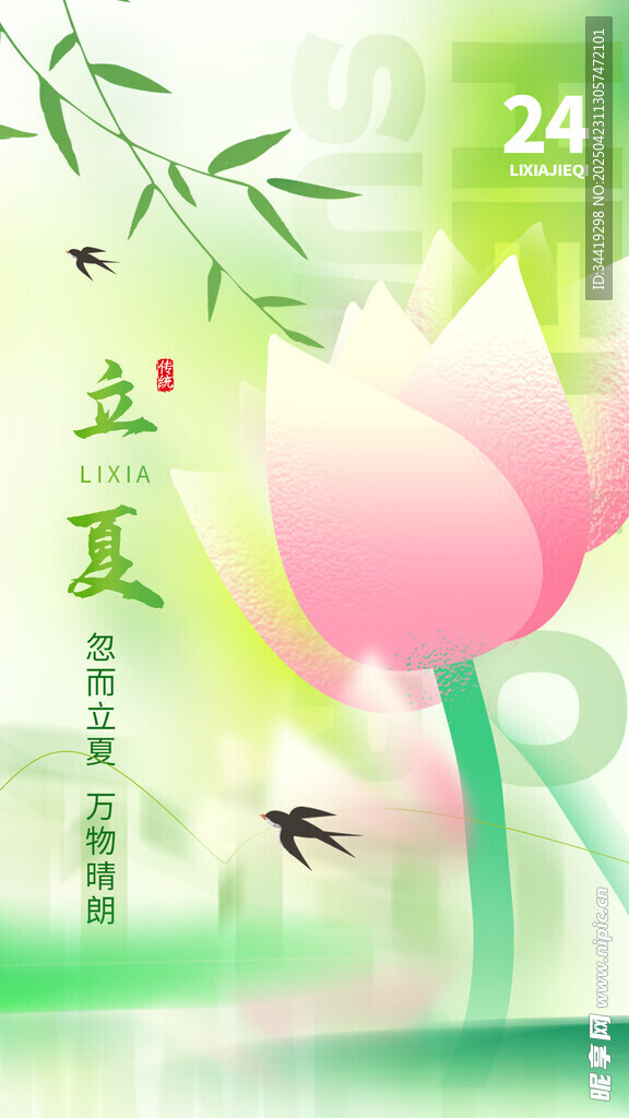 夏日荷花立夏至