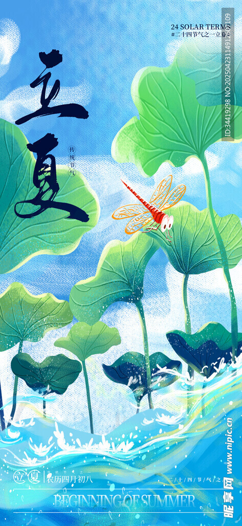 夏日荷花风景图