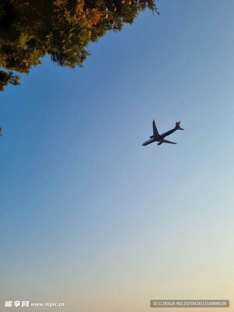 蓝天中翱翔的飞机