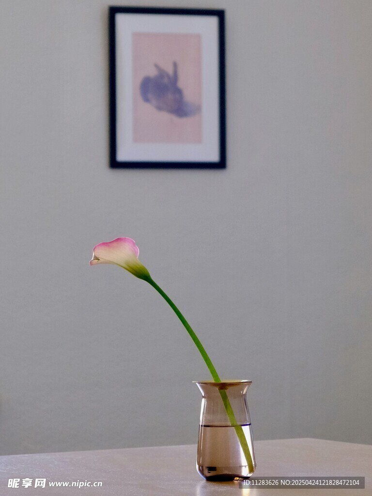 简约花瓶中绽放的粉色花朵