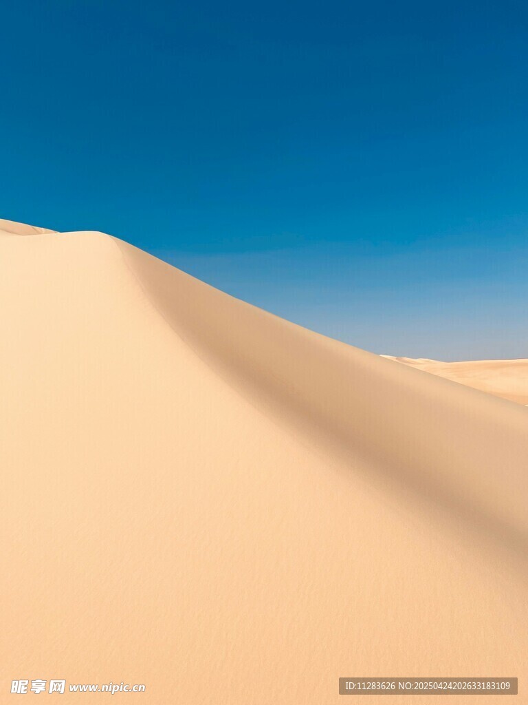 金黄沙丘映蓝天