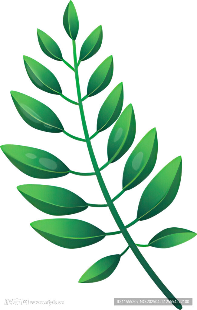 翠绿叶片植物枝桠