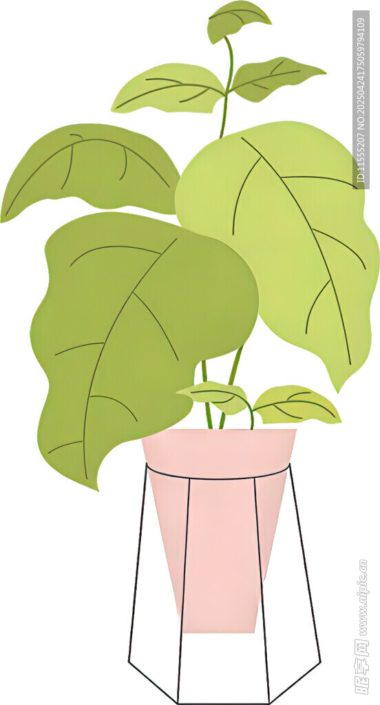 粉色花盆中的绿植