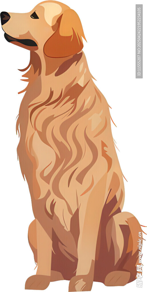 坐着的金毛犬插画