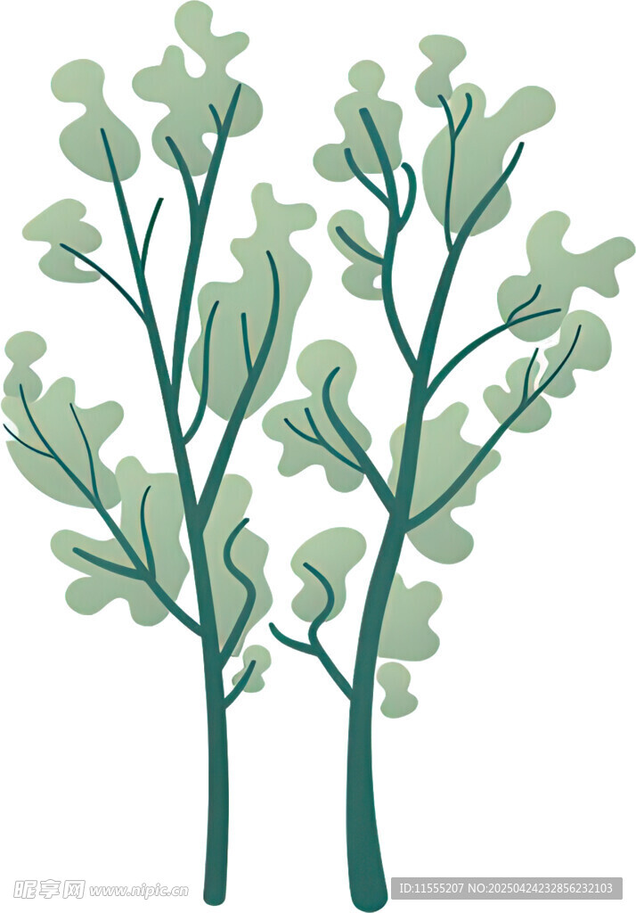 双枝绿植插画