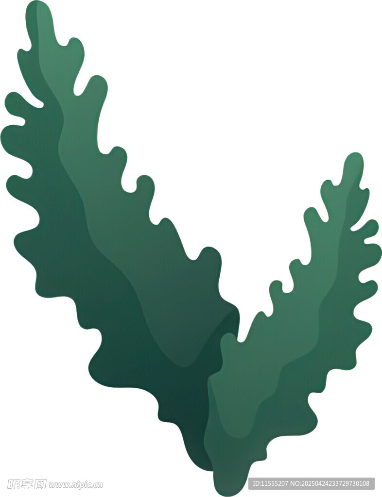 绿色锯齿状叶片植物