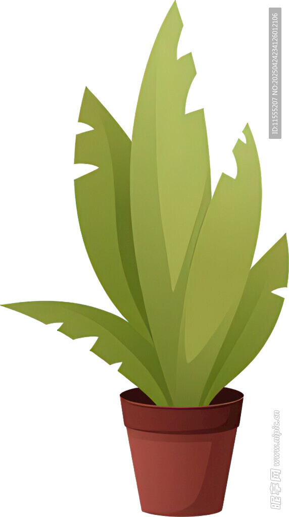 盆栽绿植 清新室内小植物