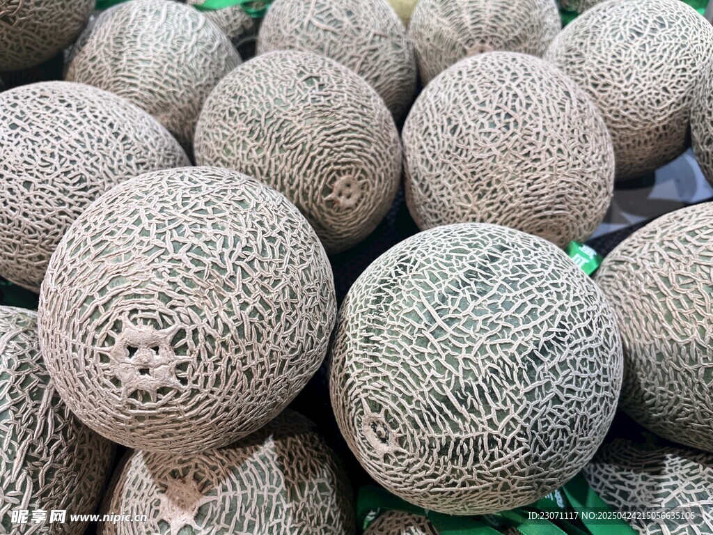 网纹瓜