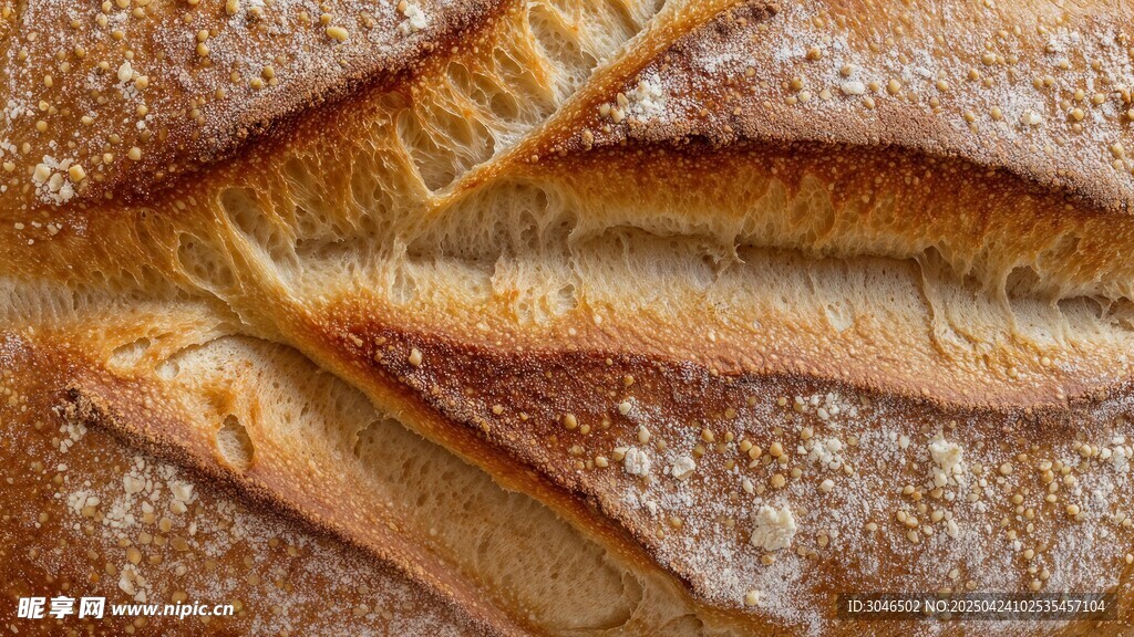 美味全麦面包特写