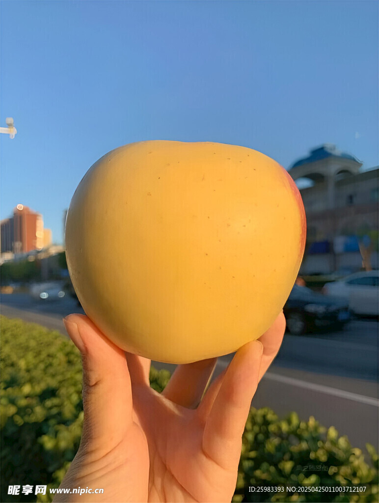 苹果