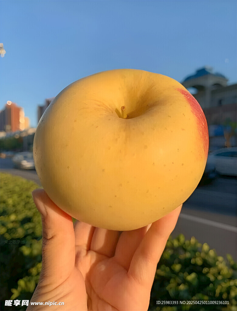 苹果