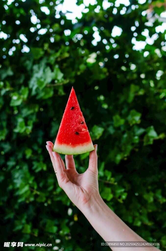 手捧鲜红西瓜片