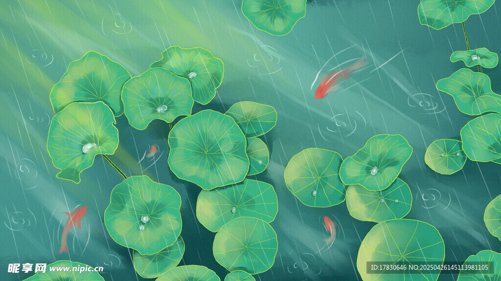 荷叶间的灵动红鱼