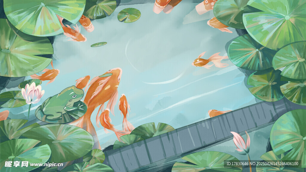 池塘锦鲤嬉戏于莲叶间