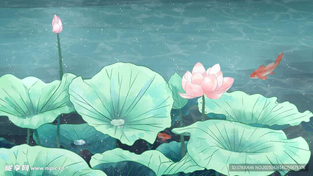 荷塘锦鲤伴荷花绽放