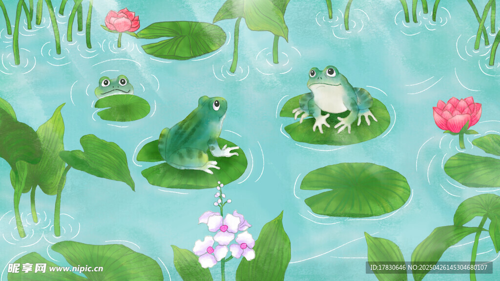 池塘中的青蛙与睡莲