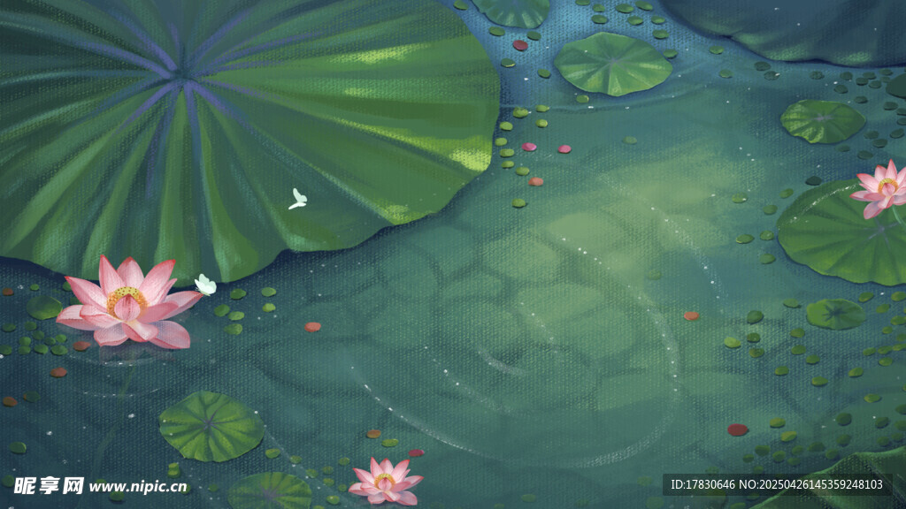 荷塘中的粉色荷花与荷叶