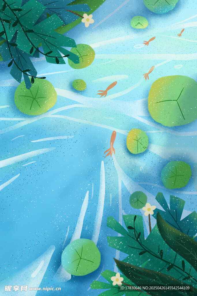 夏日荷塘水波与浮萍景象