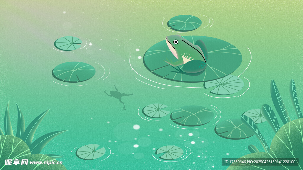 荷叶上的青蛙与水中浮萍