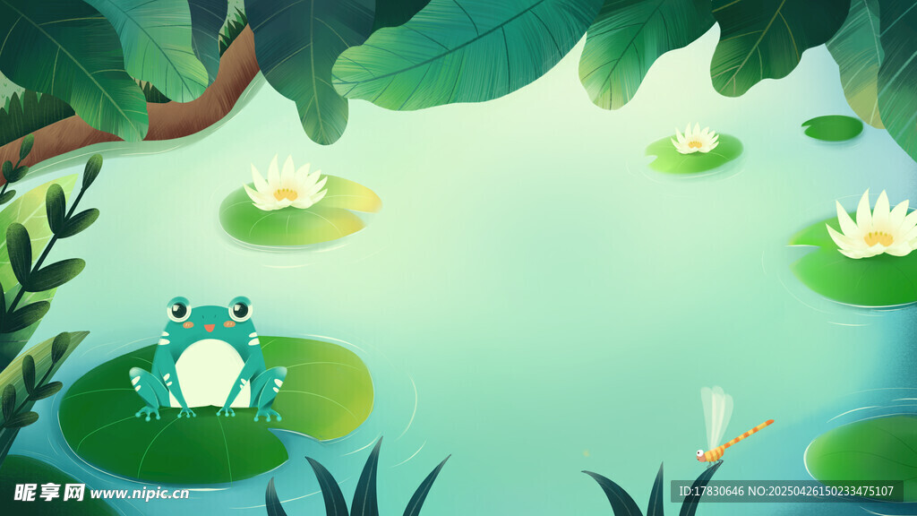 池塘中的青蛙与荷叶