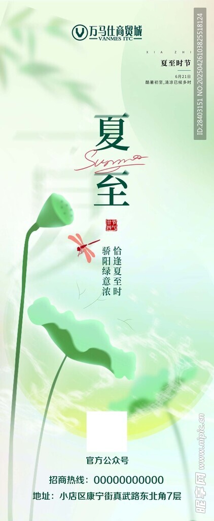 夏至节气清新插画海报