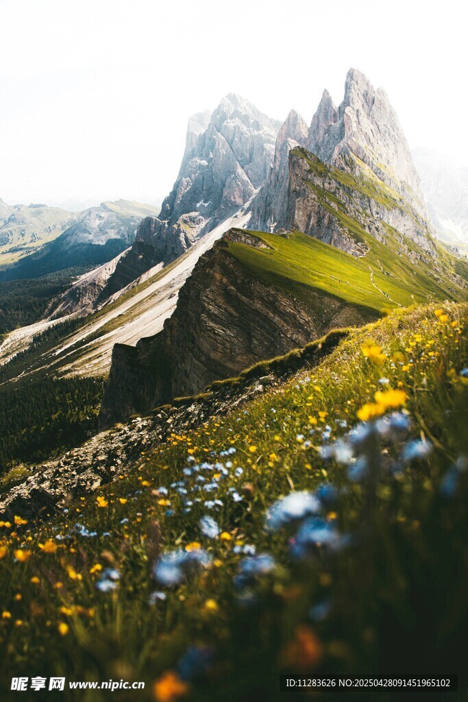 山间美景繁花与峻岭