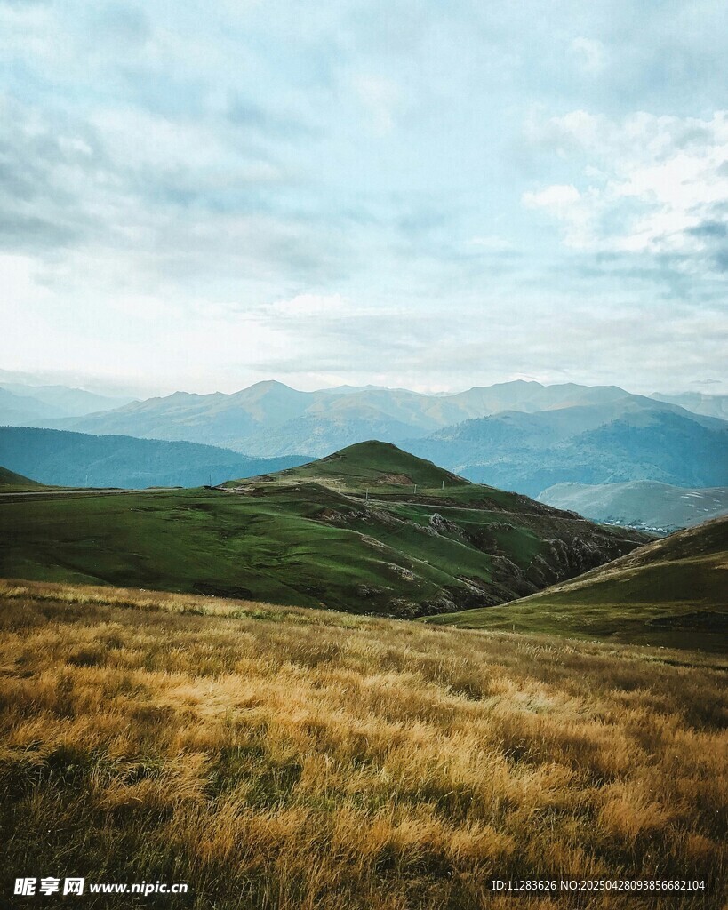 山间草地美景