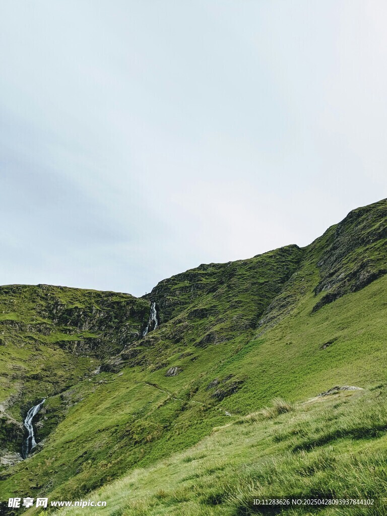 翠绿山坡上的自然美景
