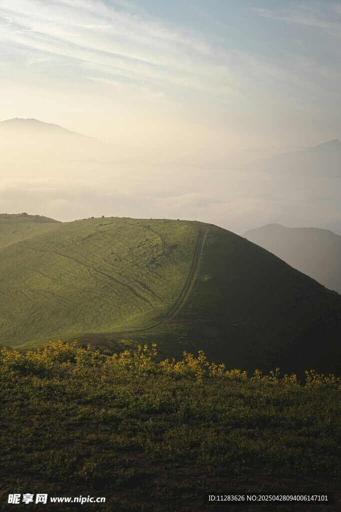山间美景 绿意盎然的黄昏