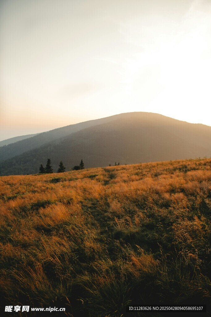 黄昏下的山野美景
