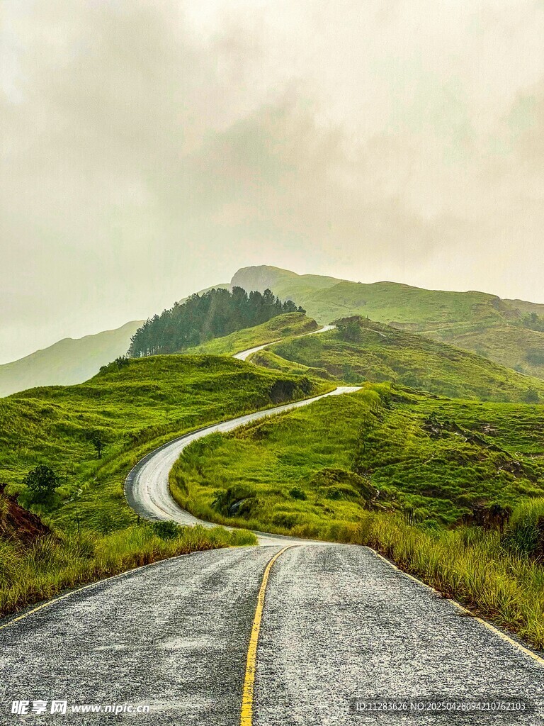蜿蜒山路于翠绿山间