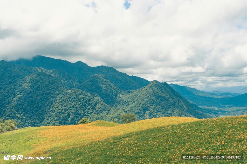 山间绿野美景