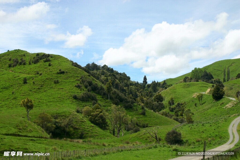 山间绿野蜿蜒小路美景