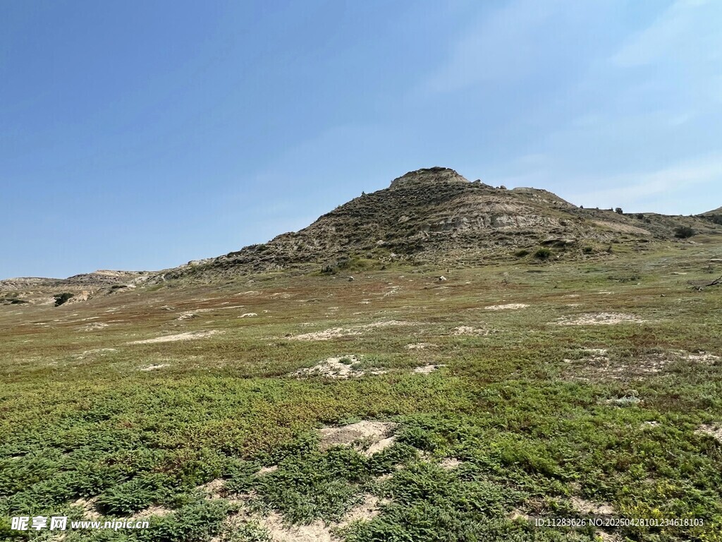 广袤山丘下的绿意景致